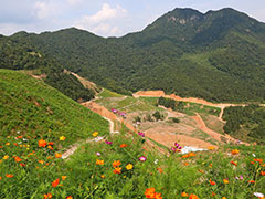 廣東省肇慶市花崗巖礦采礦權以7.52億元成交