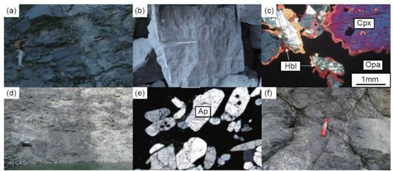 图10 岩浆型富铁矿地质和岩相学特征