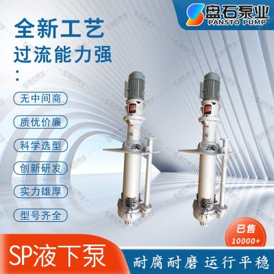 盘石泵业 100RV-SP型液下渣浆泵