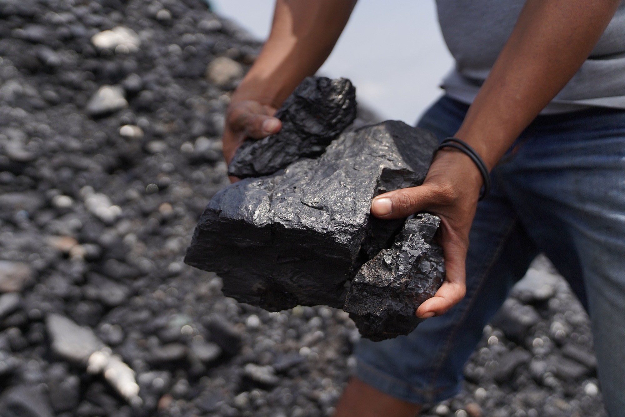 煤可以被分为多少种类？基本指标有哪些？