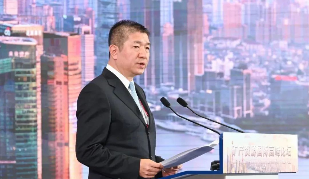 中国矿产资源集团有限公司董事长姚林在致辞