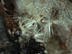 斜砷镁钙石
