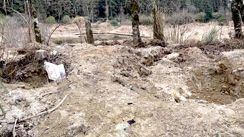 宜春市某村后山，地面被村民挖出坑