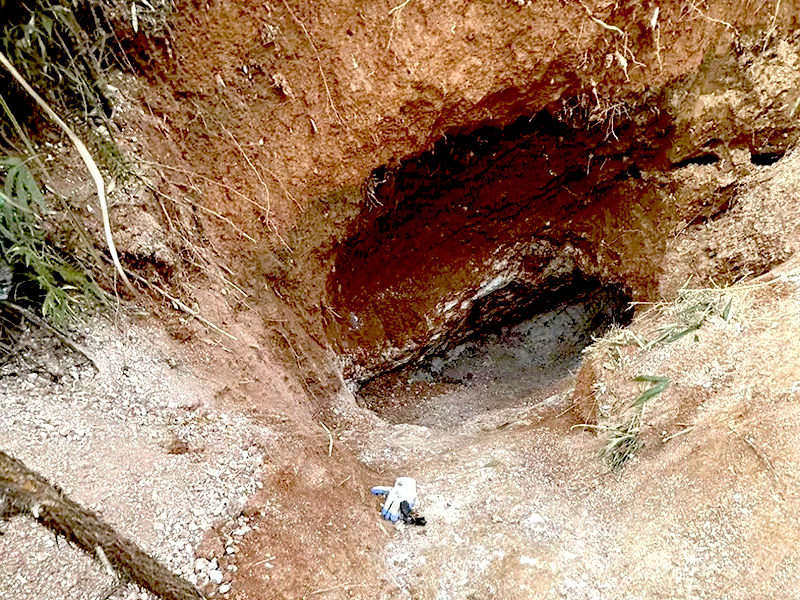 宜春市某村后山，地面被村民挖出坑。受访者供图