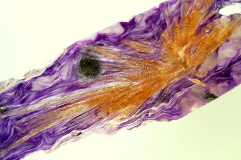 紫硅碱钙石